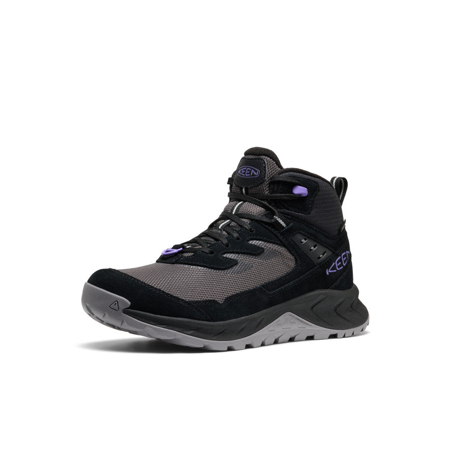 Black/Aster Purple