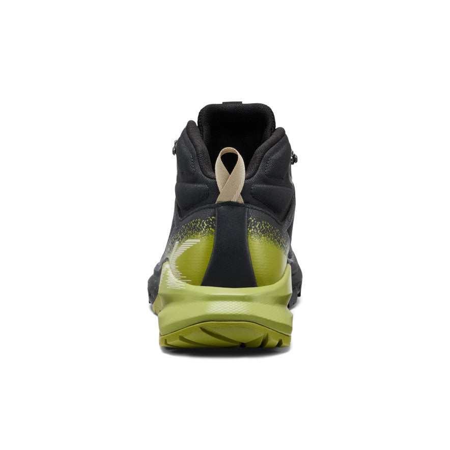 Black/Golden Cypress