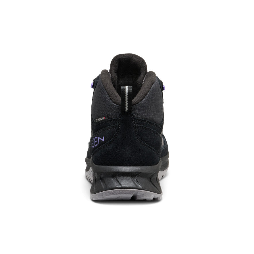 Black/Aster Purple