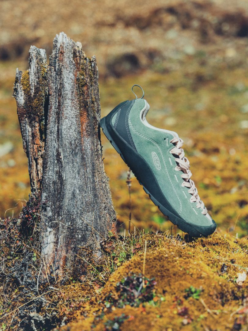 Jasper sneaker in a pale green colour leant up against a tree stump