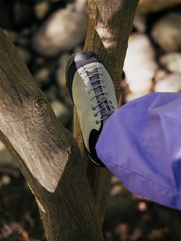 White and black sneaker with blue laces on a tree branch, blurred background.
