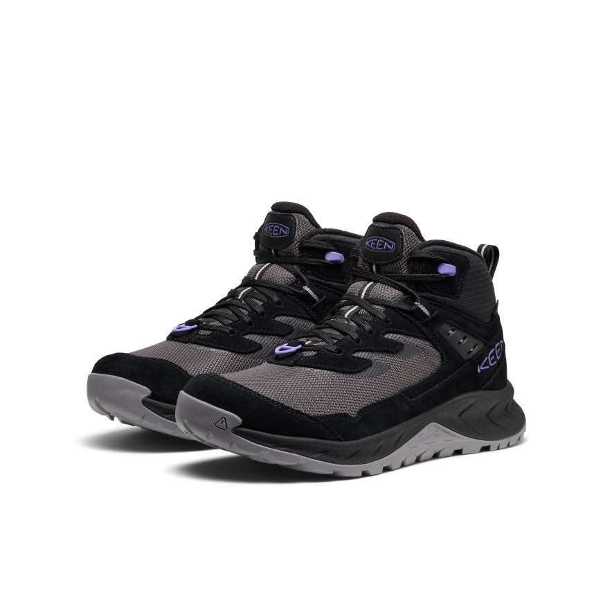 Black/Aster Purple