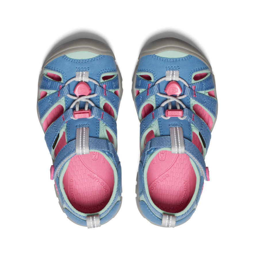 Coronet Blue/Hot Pink