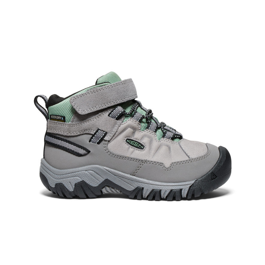 Little Targhee IV Waterproof Hiking Boot Alloy Granite